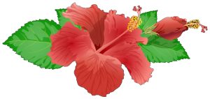 The yellow variety of hibiscus is the State Flower of Hawaii.